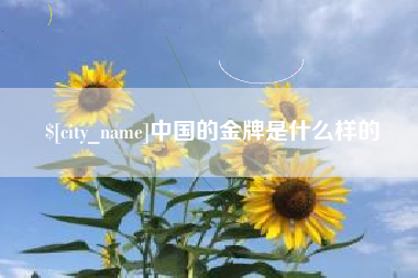 晋江中国的金牌是什么样的