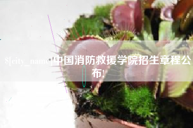 晋江中国消防救援学院招生章程公布!
