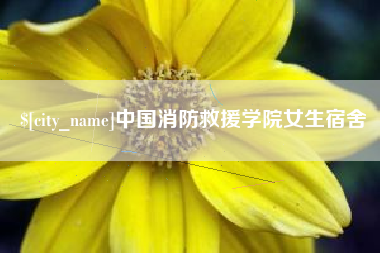 晋江中国消防救援学院女生宿舍