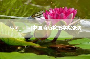 晋江中国消防救援学院张勇