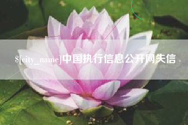 晋江中国执行信息公开网失信