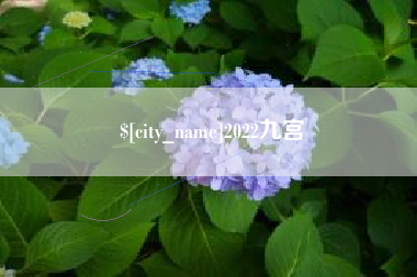 晋江2022九宫