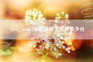晋江消防救援学院要多少分