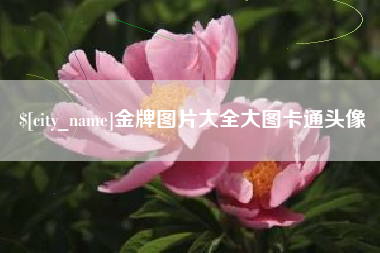 晋江金牌图片大全大图卡通头像