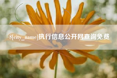 晋江执行信息公开网查询免费