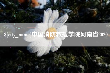 晋江中国消防救援学院河南省2020